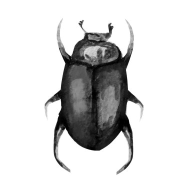 suluboya desenle beetle