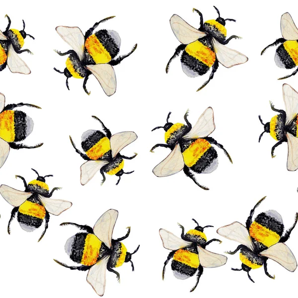 Bee Aquarel Patroon Dier — Stockfoto