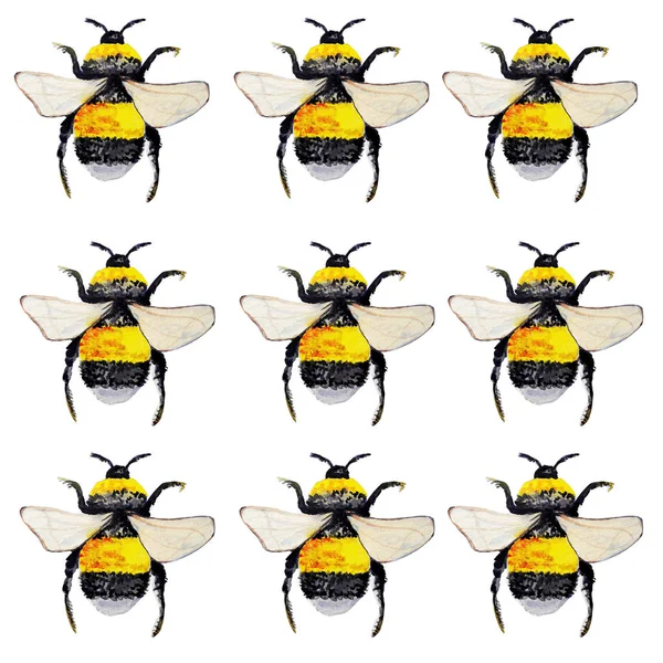 Bee Akvarell Mönster Djur — Stockfoto