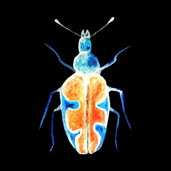 Beetle Watercolour Pattern — Stock Photo, Image