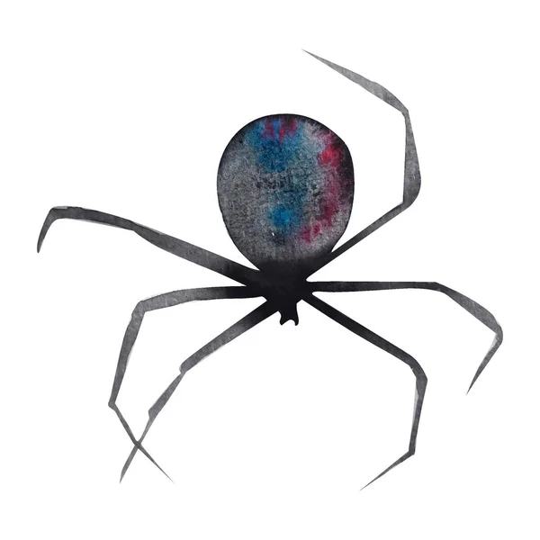 水彩分离的蜘蛛动物 — 图库照片