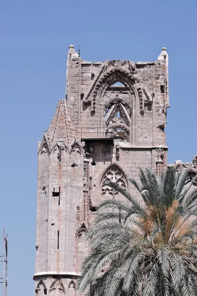 Vue Panoramique Sur Les Bâtiments Anciens Les Plantes Vertes — Photo