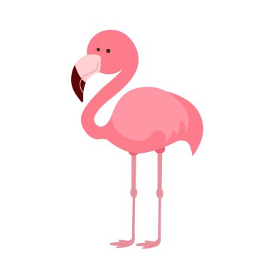 Pembe flamingo beyaz arkaplanda izole edildi