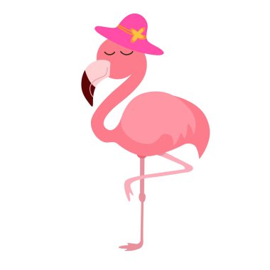 Flamingo pembe şapkalı beyaz arka plan üzerinde izole