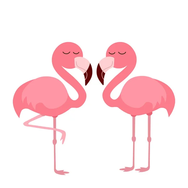Розовые Фламинго Изолированы Белом Фоне — стоковый вектор