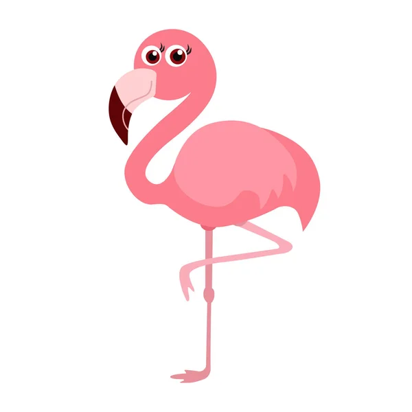 Różowy Flamingo Izolowane Białym Tle — Wektor stockowy