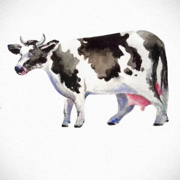 Hermosa Vaca Pintura Ilustración —  Fotos de Stock