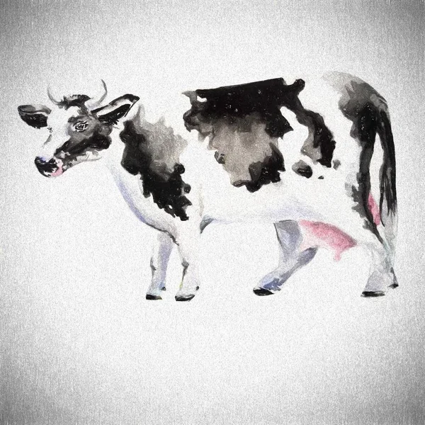 美丽的牛画例证 — 图库照片