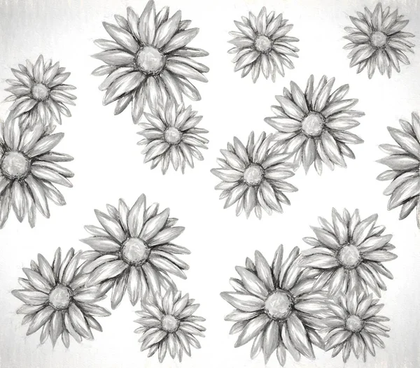 Bela Echinacea Aquarela Ilustração — Fotografia de Stock