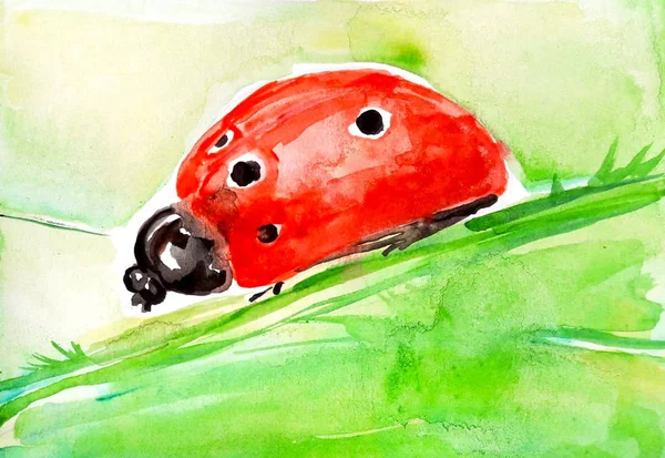 Ladybug Watercolor Illustration Post Card — Stock Photo, Image