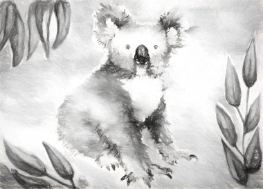koala ayısı suluboya resim