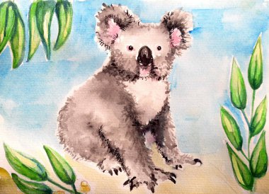 koala ayısı suluboya resim