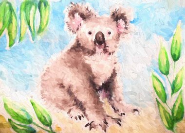 koala ayısı suluboya resim