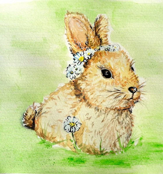 Easter rabbit art illustration