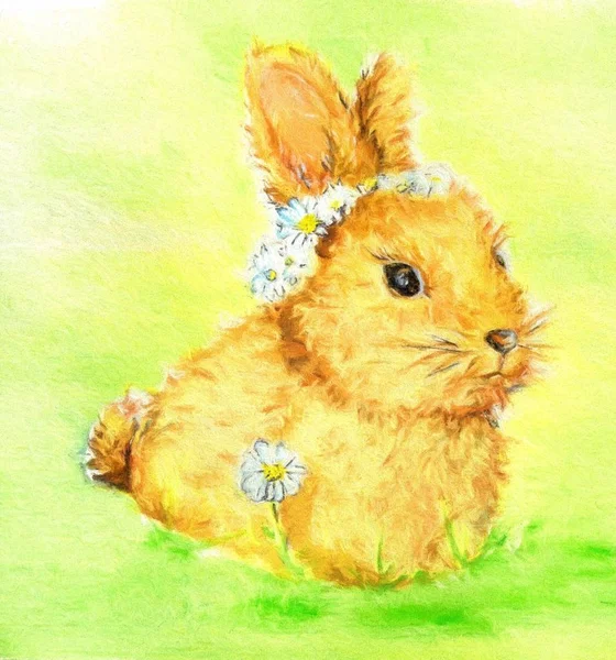 Easter rabbit art illustration