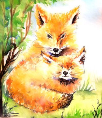 suluboya resim illüstrasyon tilki