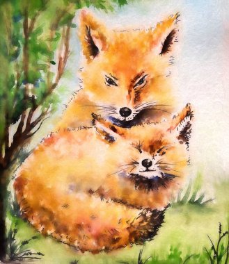 suluboya resim illüstrasyon tilki