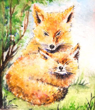 suluboya resim illüstrasyon tilki