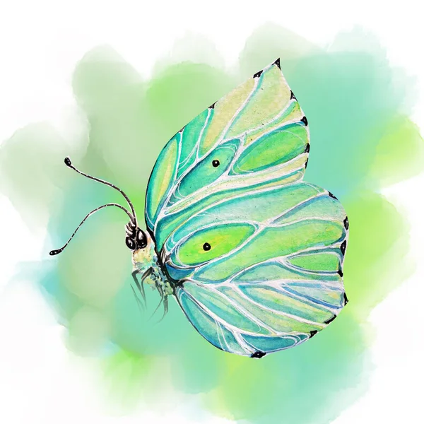 Colorful Butterfly Art Illustration — Stock Photo, Image