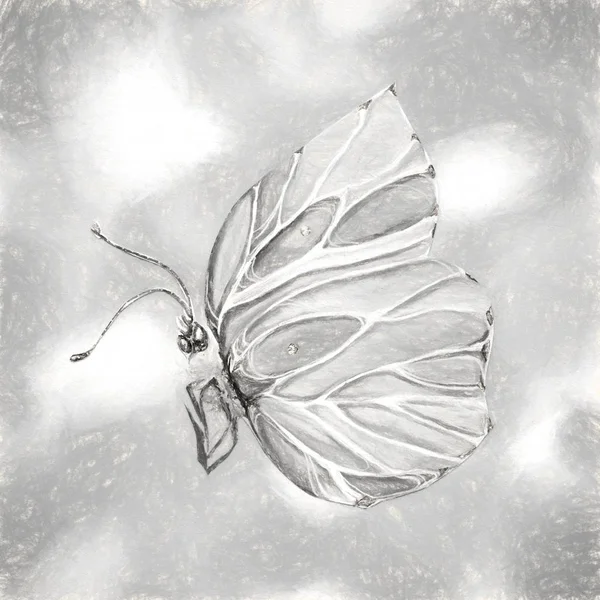Illustration Art Papillon Coloré — Photo