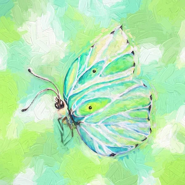 Красочная Иллюстрация Бабочек — стоковое фото
