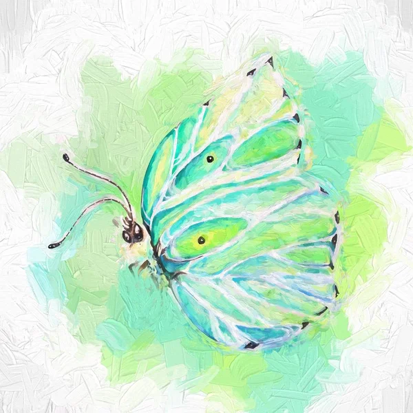 Mariposa Colorida Ilustración Arte — Foto de Stock