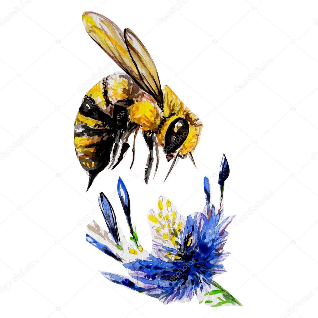 bee post card illustration