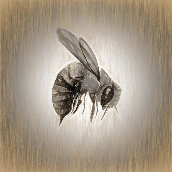 Včelí Pohlednice Ilustrace — Stock fotografie