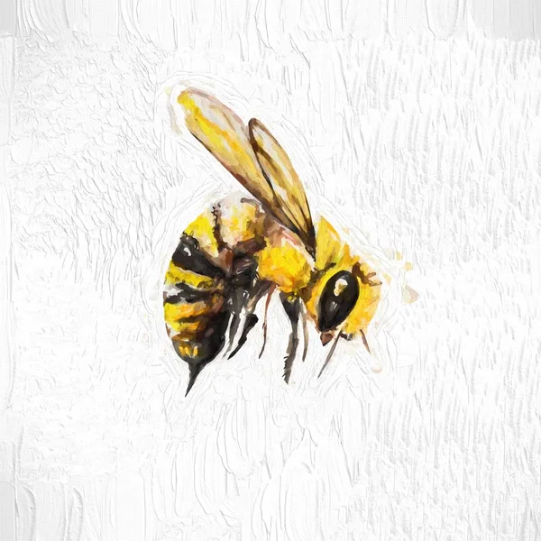 Illustration Carte Postale Abeille — Photo