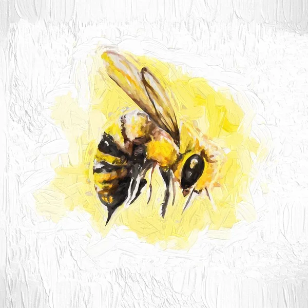 Méh Képeslap Illusztráció — Stock Fotó