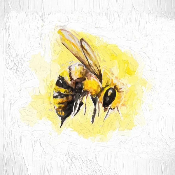 Illustration Carte Postale Abeille — Photo