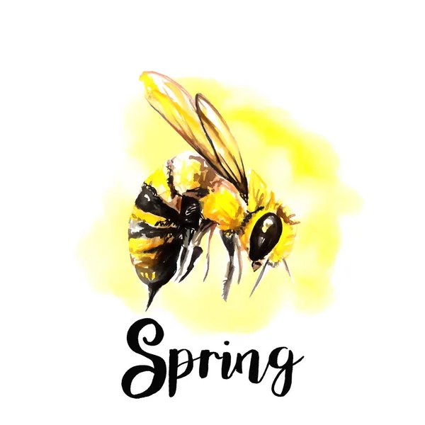 Abeja Postal Ilustración — Foto de Stock