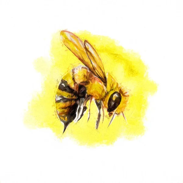 Bee Vykort Illustration — Stockfoto