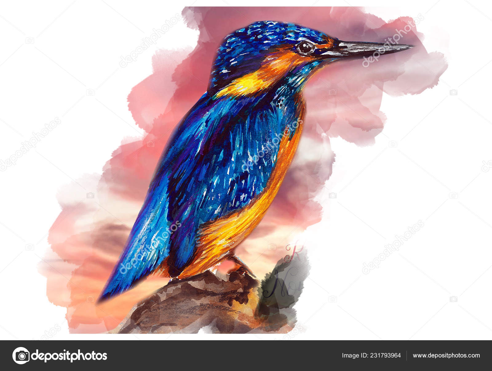 Couleur Eau Kingfisher Oiseau Dessin Photographie