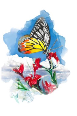 bahar kelebek illüstrasyon sanat