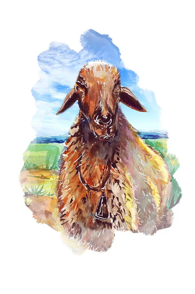 Régi Ciprusi Bárány Illusztráció — Stock Fotó