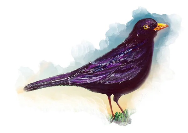 Чорний Птах Акварельне Мистецтво — стокове фото