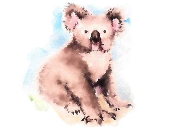 Akwarela Ilustracja Koala Bear Białym Tle — Zdjęcie stockowe