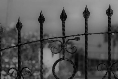 Demir Çit Bahçe yakın çekim