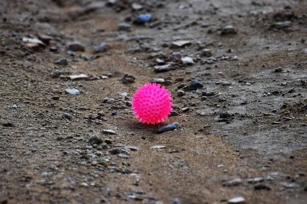 Detailní Záběr Růžové Hračka Míč Zem — Stock fotografie