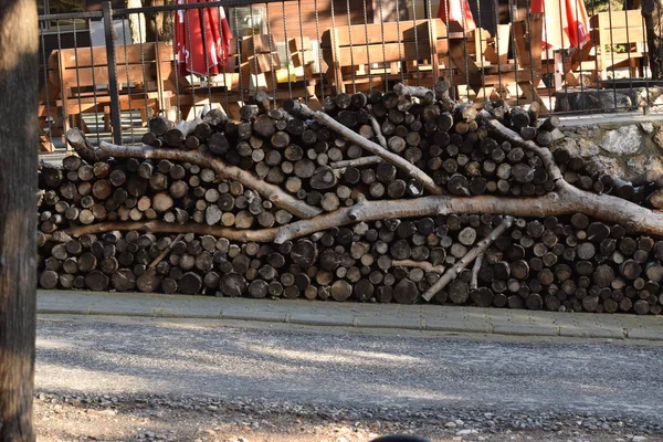 Vista Tronchi Legno Accatastati Con Motivo Albero — Foto Stock