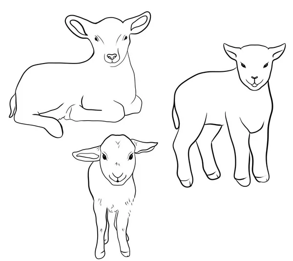 Línea Vaca Ilustración —  Fotos de Stock