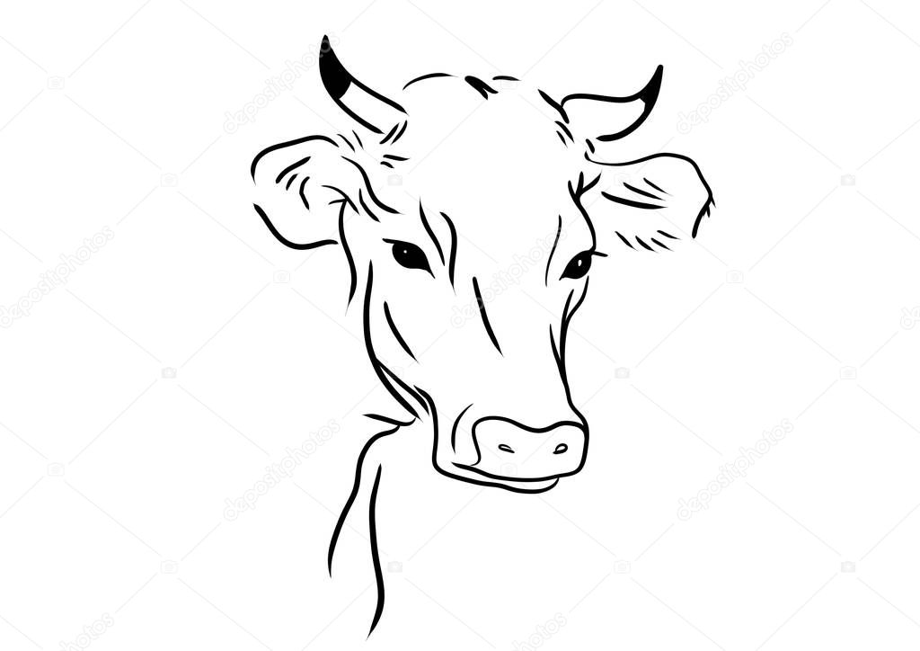 cow line picture illustration