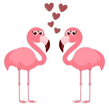 Beyaz arka plan üzerinde iki flamingolar vektör