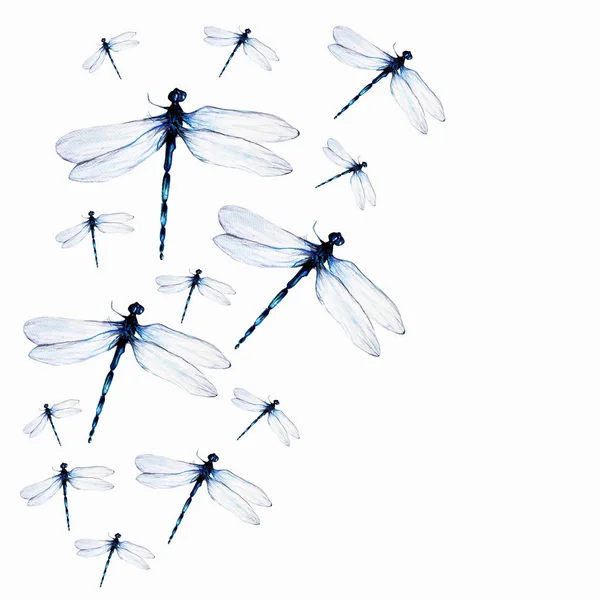 Watercolor Set Dragonflies White Background — Stock Photo, Image