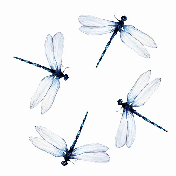 Watercolor Set Dragonflies White Background — Stock Photo, Image