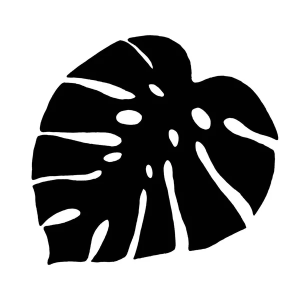Ботанічна Ілюстрація Листя Пальми — стокове фото