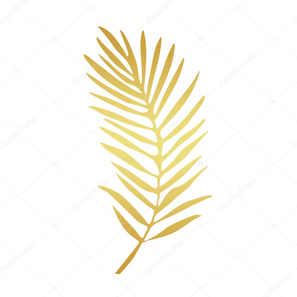 golden palm leaf illustration