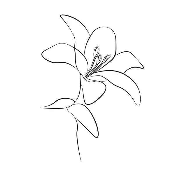 One Line Drawing Flower Vector Illustration — Stock Vector