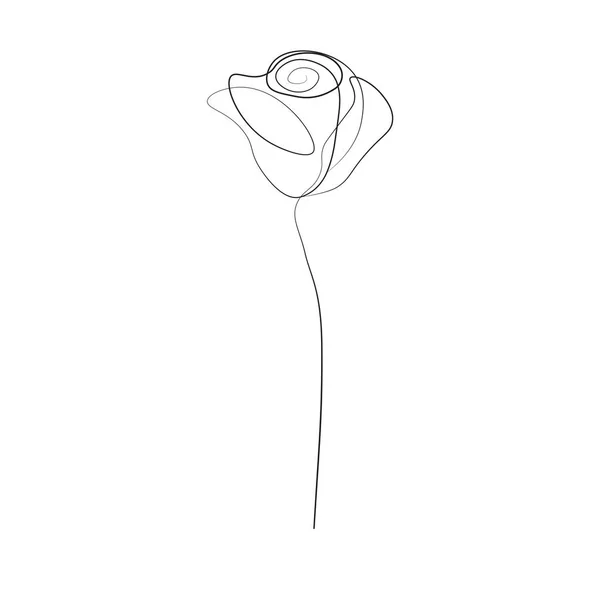 Dibujo Una Línea Rosa Flor Ilustración Vectorial — Vector de stock